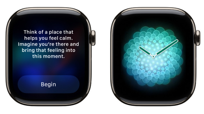 Two Apple Watches showing the Reflect and Breathe sessions