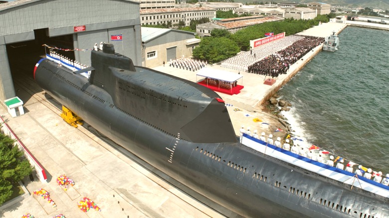 Unveiling of DPRK nuclear submarine