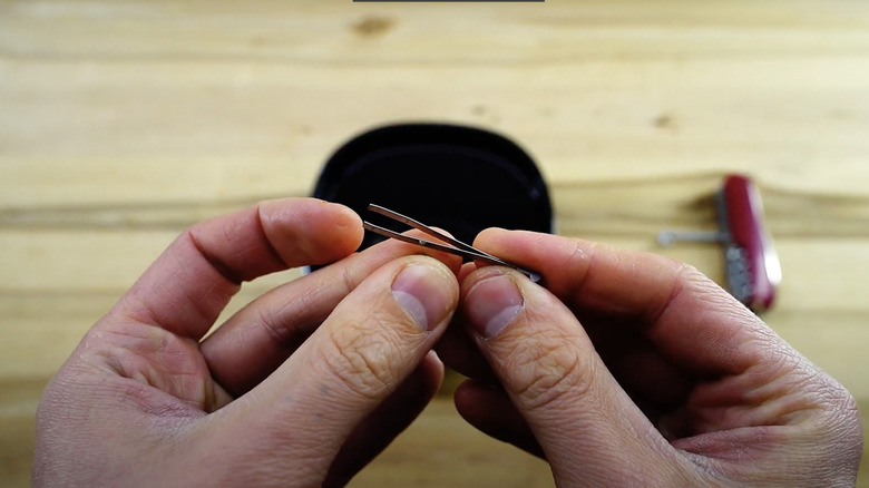 Person holding Swiss Army Knife tweezers