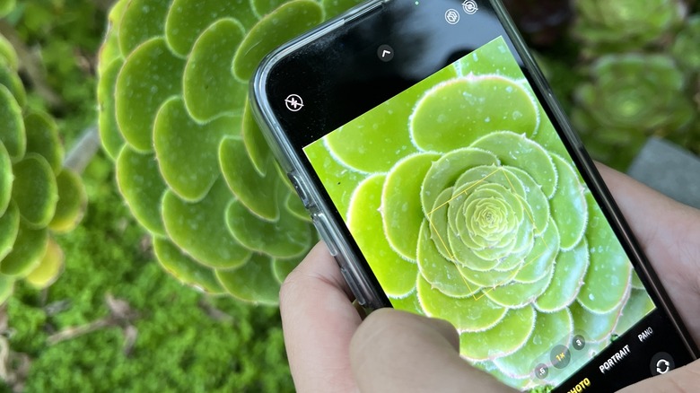 you-can-use-google-lens-on-your-iphone-and-ipad-here-s-how