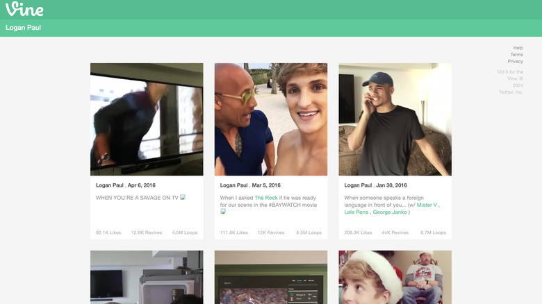 You Might Be Able To Still Find Your Favorite Vine Videos, Here's How