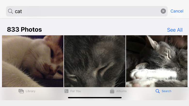 Searching photos by subject in the app