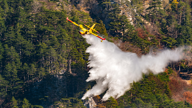 firefighting aircraft over burning forest
