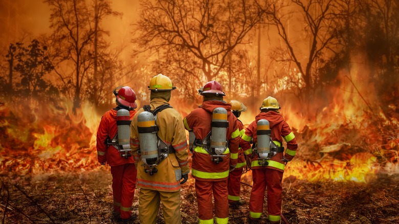 firefighters stand in front of wildfire