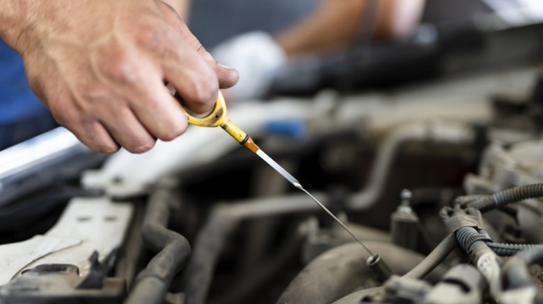 A person using the engine oil dipstick to check their oil level and condition