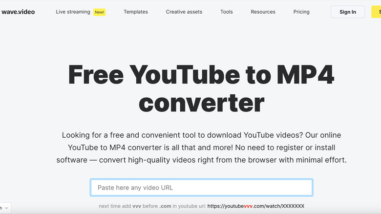 wave video youtube downloader