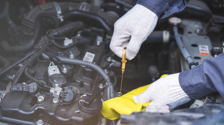 Mechanic checking engine oil level with dipstick, wearing white gloves