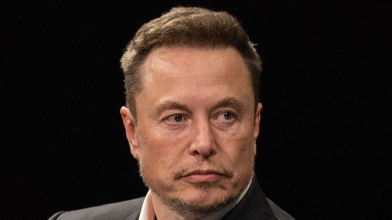 Tesla chief Elon Musk 