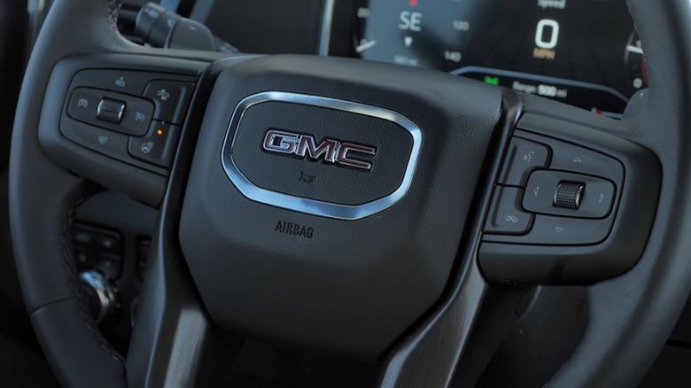 Steering wheel detail