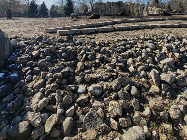 rocks in a bison pen