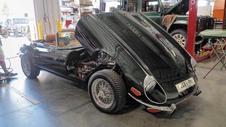 E.C.D. Jaguar E-Type