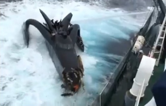 Sea Shepherd's Ady Gil trimaran sinks after whaling ship collision ...