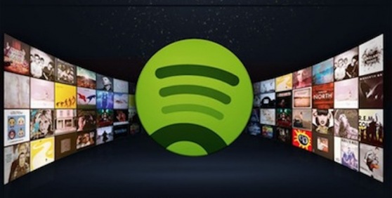 spotify family share