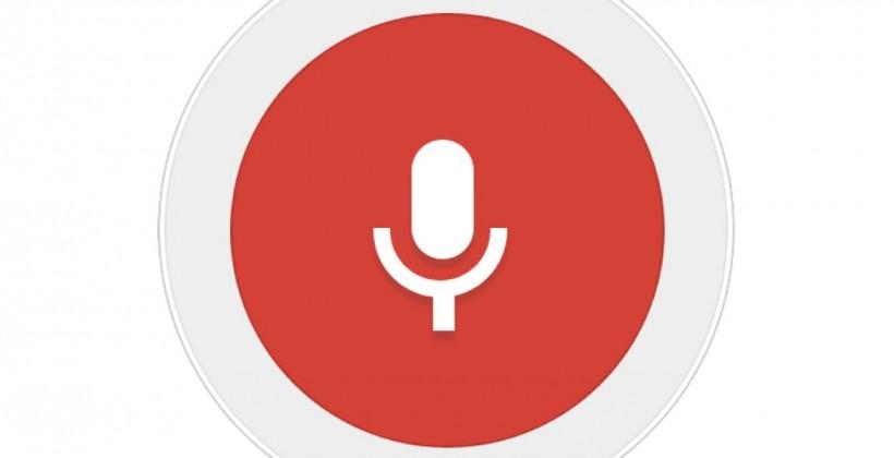 google voice support