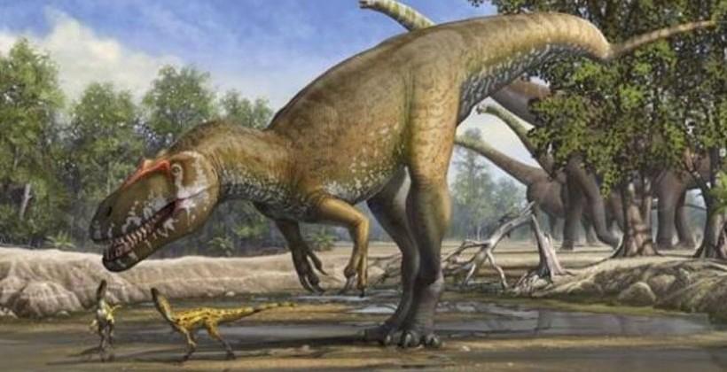 carnivorous dinosaur with horn on nose