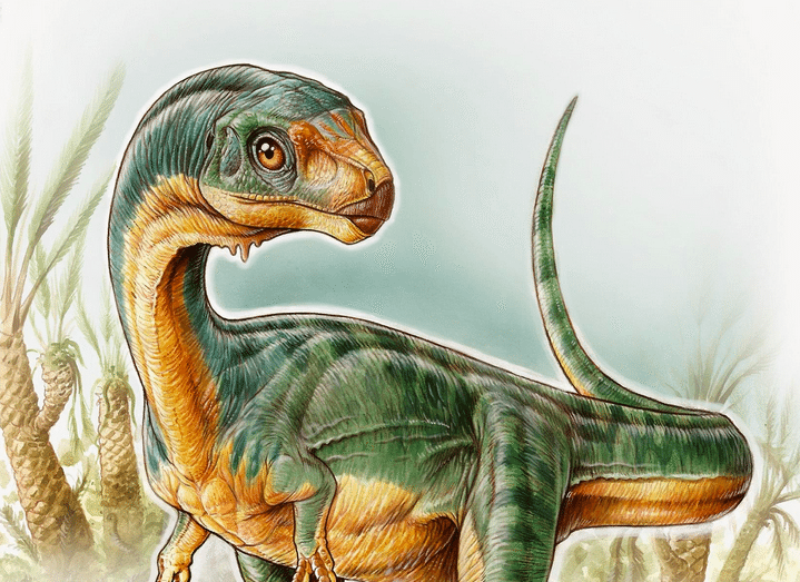 New 'Chilesaurus' therapod was an adorable vegetarian - SlashGear