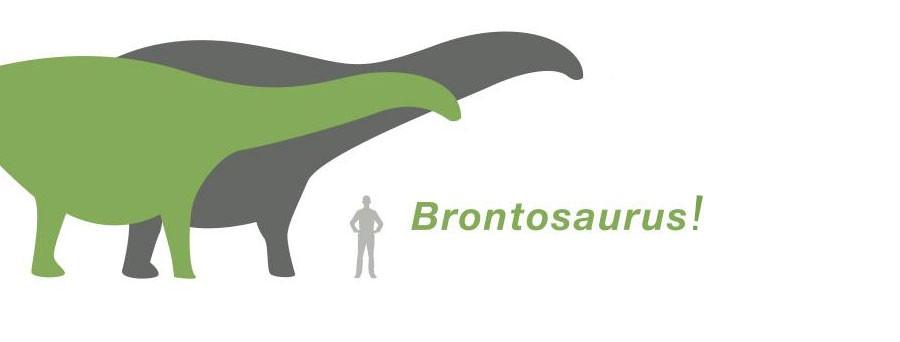 brontosaurus with spikes on back