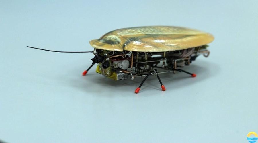 Russian Researchers Make Realistic Robot Cockroaches Slashgear
