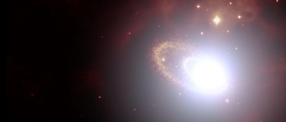 black hole supernova