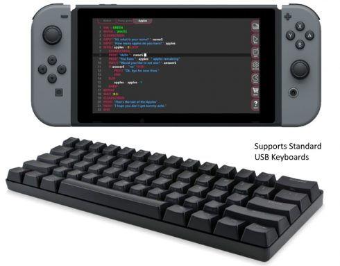 usb keyboard nintendo switch
