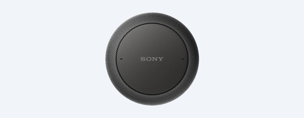 Колонка камера. Колонки Sony Voice. Гугл громкоговоритель.