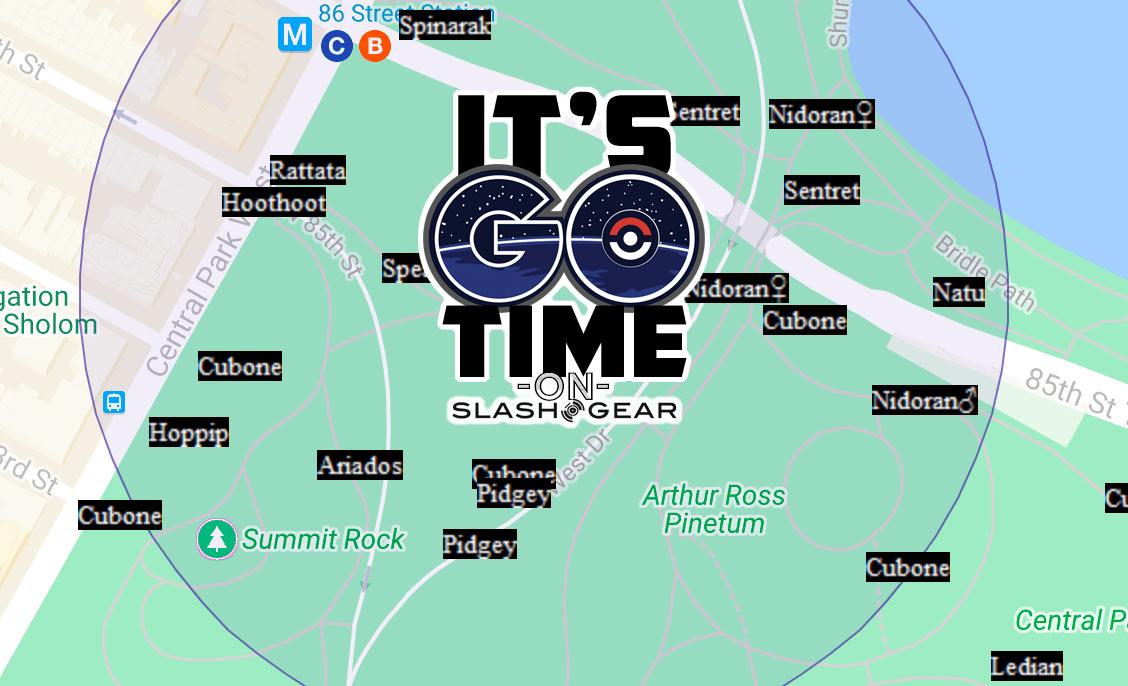 New Pokemon GO Maps / Trackers that work! - SlashGear