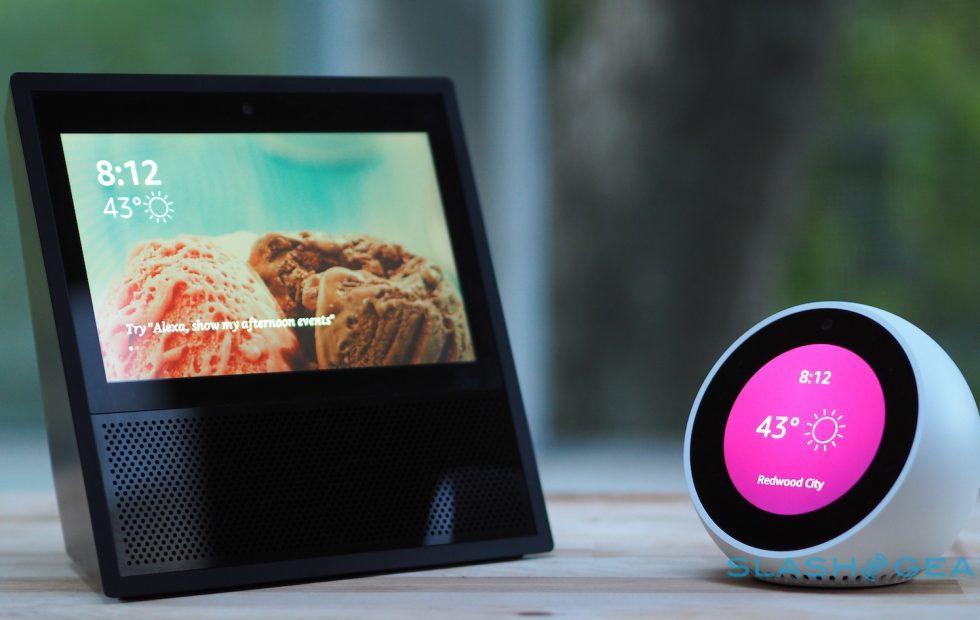 what can i do with my echo spot