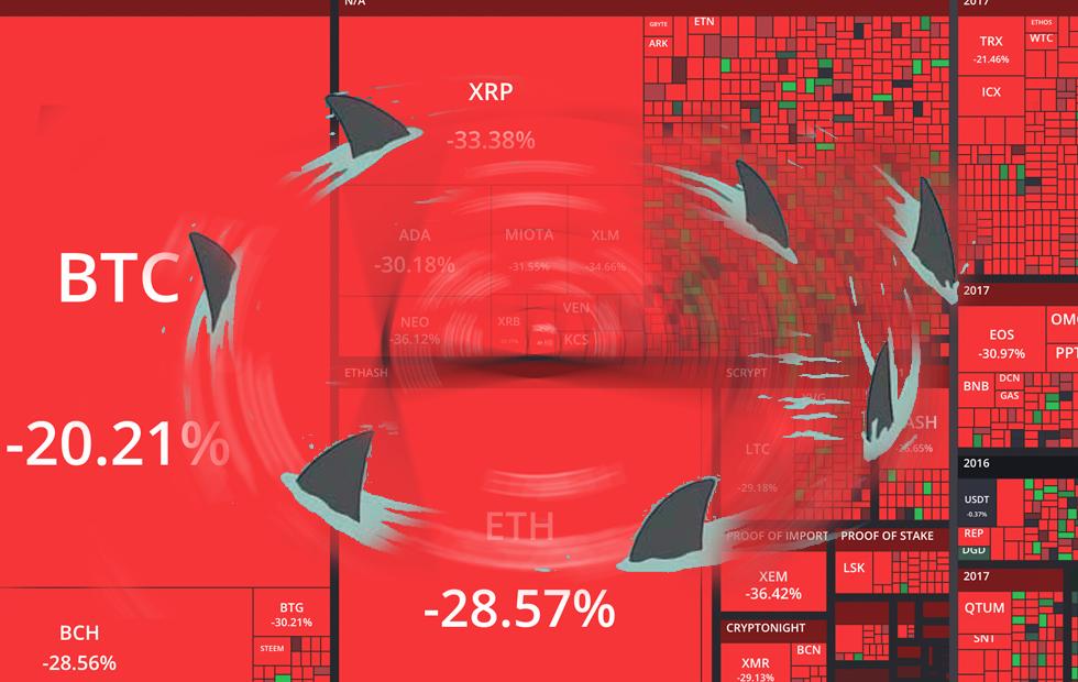 shark coin crypto price