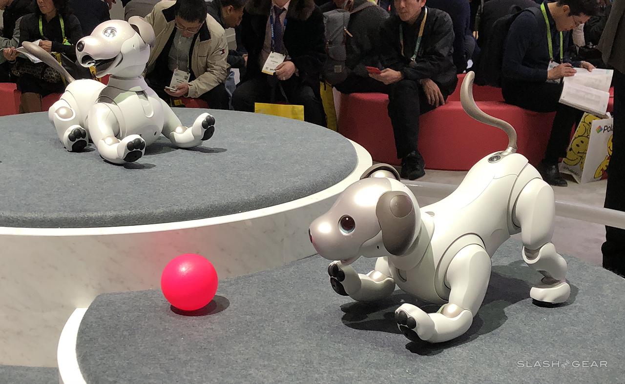 Sony Aibo Hands-On At CES 2018: In The USA To Make Us Envious - SlashGear