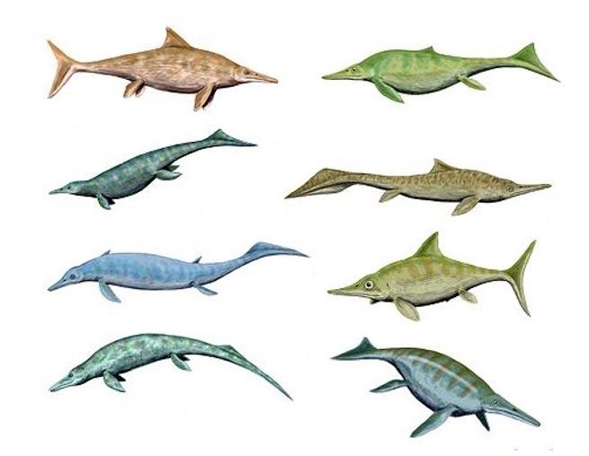 The new biggest marine reptile ever found - SlashGear