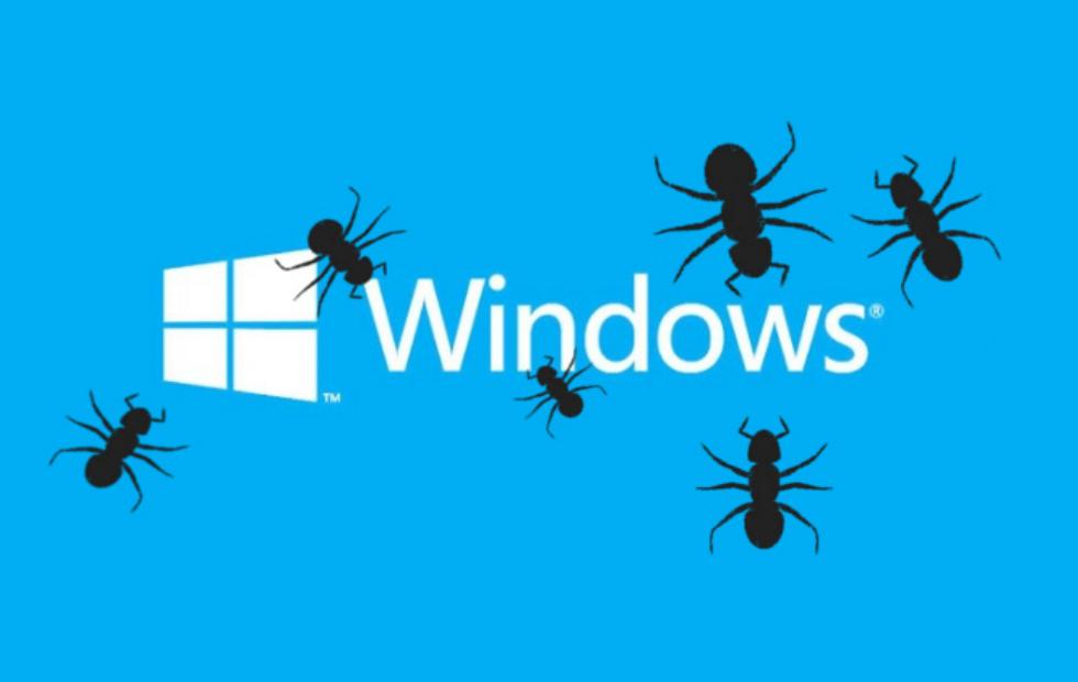 windows media player update windows 10 64 bit