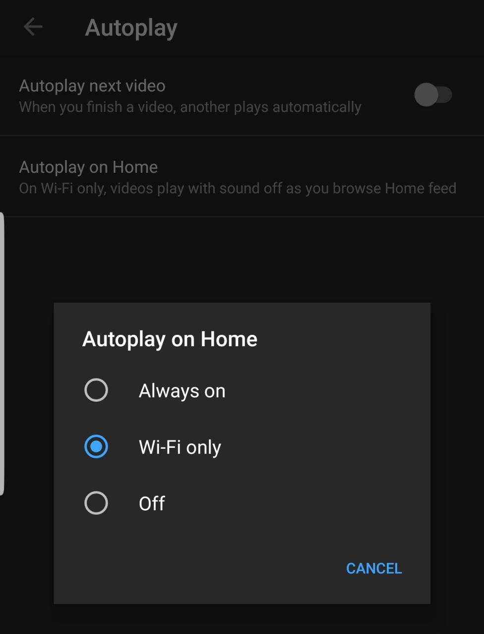 Autoplay video player