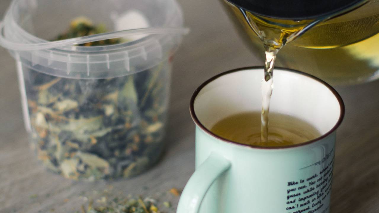 Study reveals green tea extract may reduce inflammation and obesity