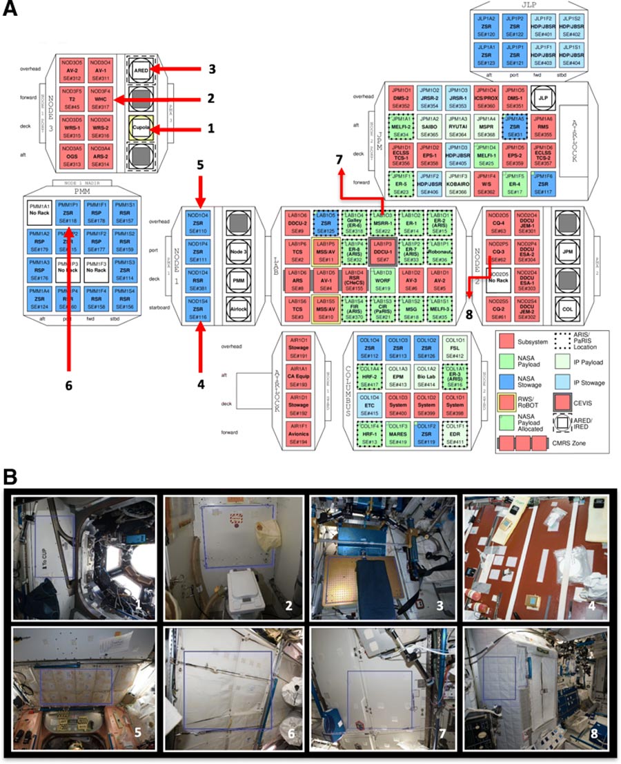 Bugs In Space No The Iss Isn T Brimming With Bacteria Slashgear