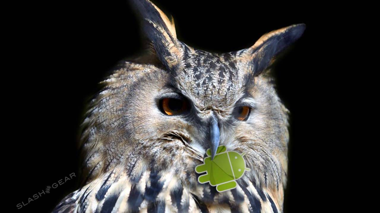 night owl x app playback search problem