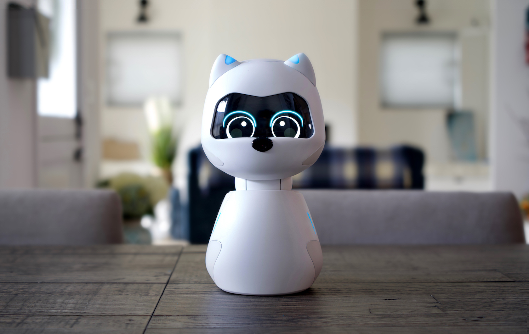 This robot cat Kiki thinks learning AI can win where other home robots ...