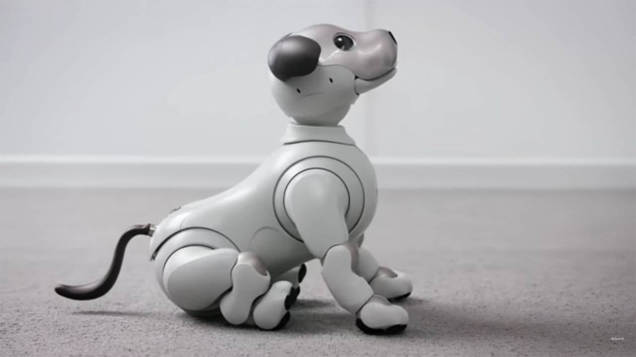 new robot dog