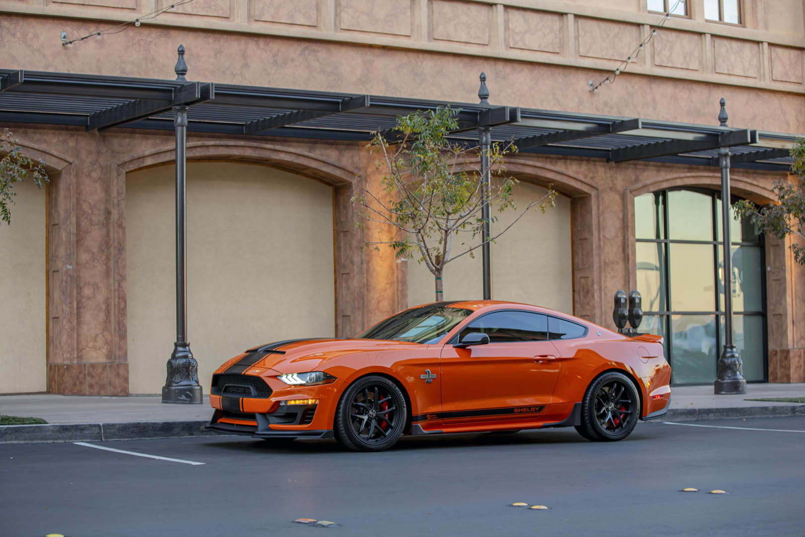 2020 Shelby Super Snake Bold Package Adds Paint Jobs As Wild As Its ...