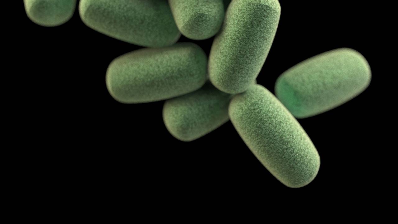 Oxford study finds gut bacteria may influence your social life - SlashGear