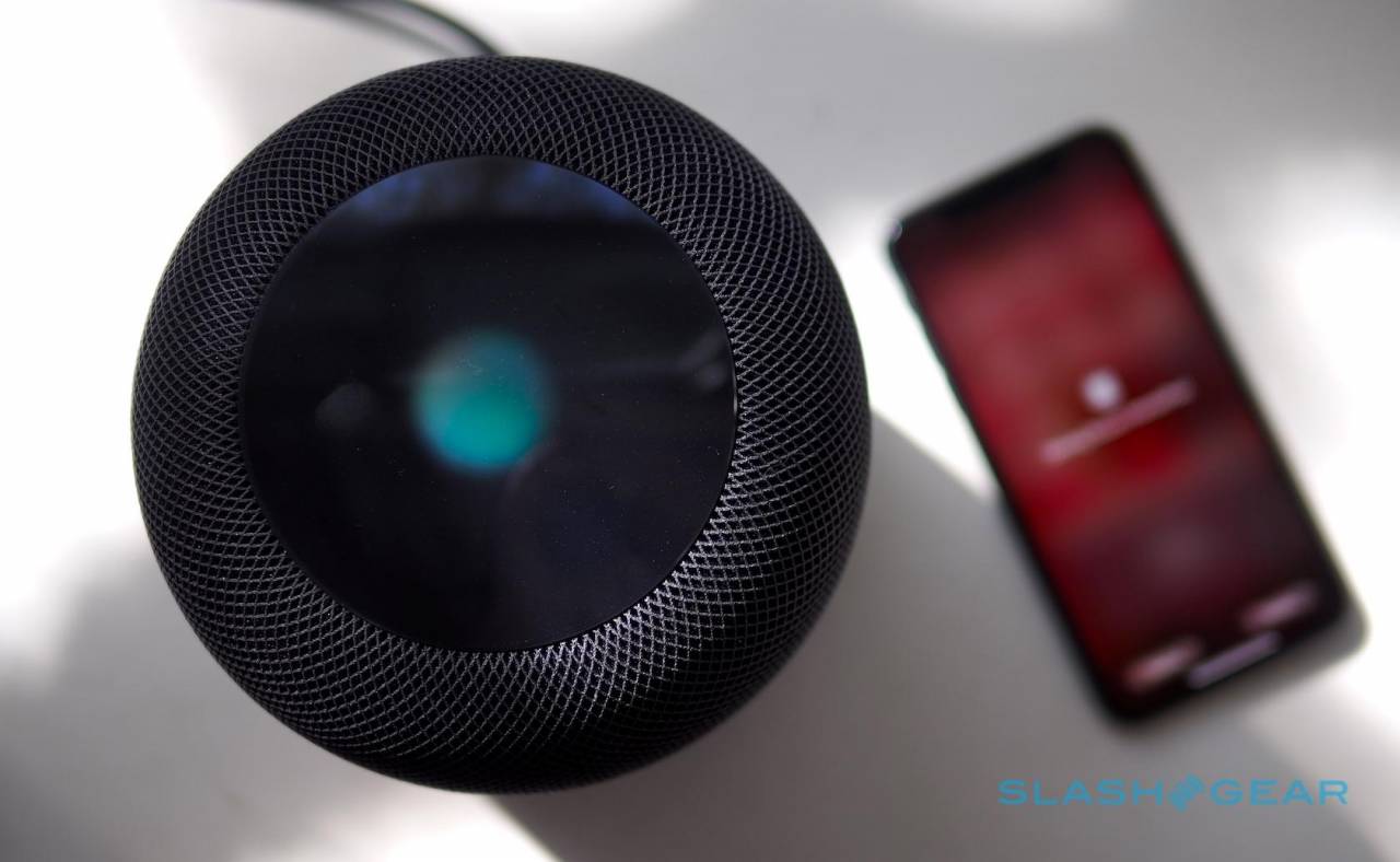 cheap homepod