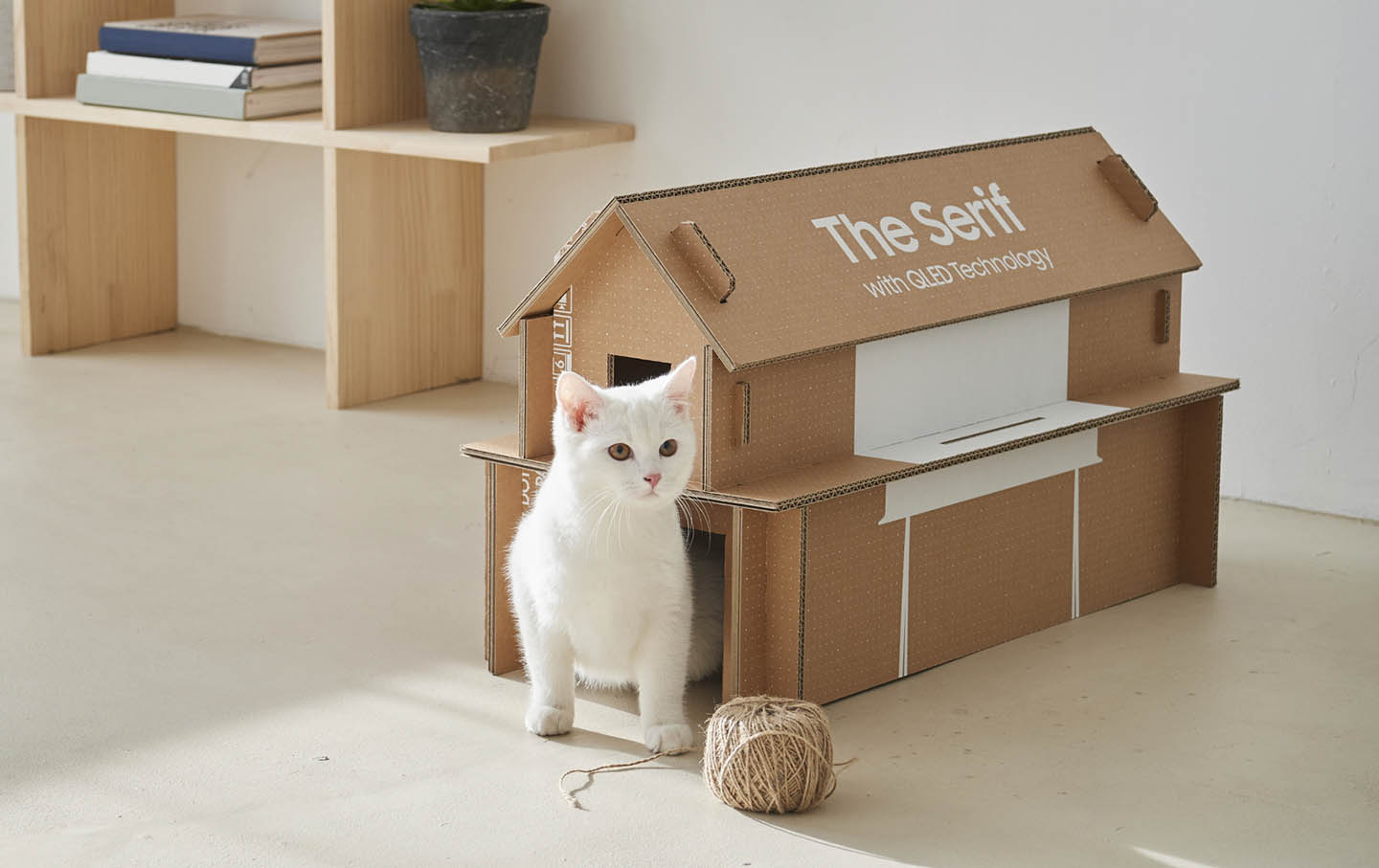 cat house out of boxes