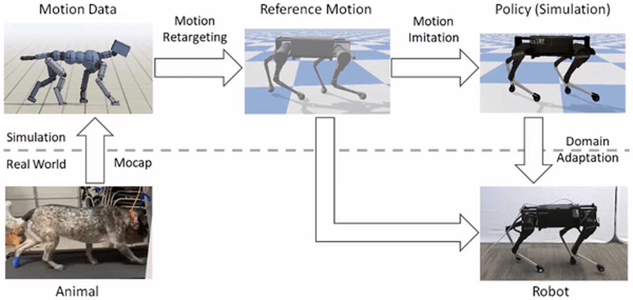 robots that turn into animals