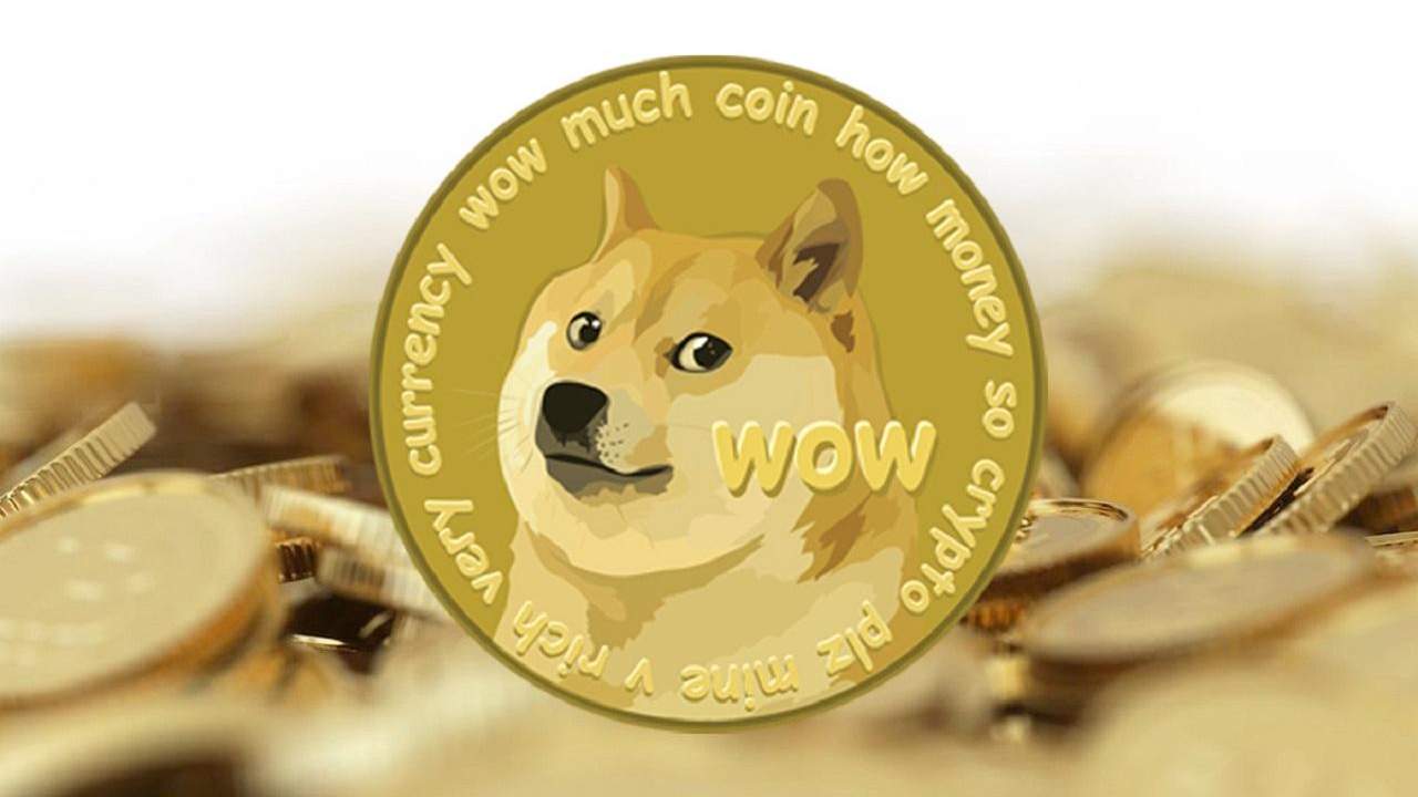 Why is dogecoin going up information