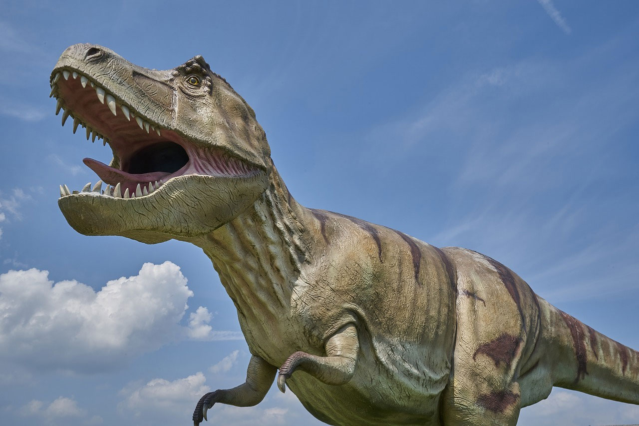 Researchers say the T Rex walked about the same speed as a person ...