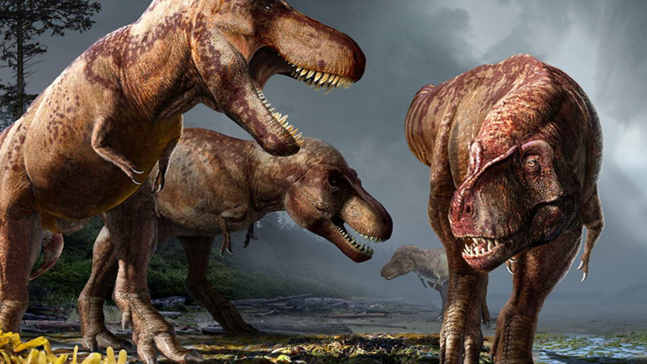 Study estimates North America was home to billions of T Rexes over its ...